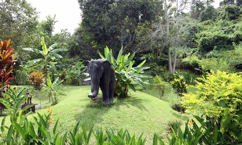 Picture of Image Luang Prabang