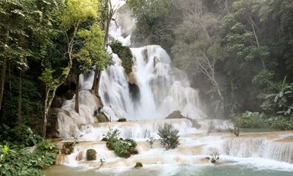 Picture of Luang Prabang - Pak Ou caves - Kuangsi Waterfalls