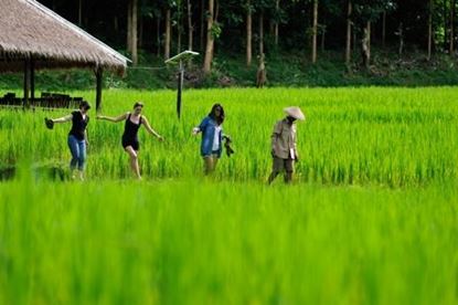 Picture of Luang Prabang - Immersion in local villages - Kuang Si waterfalls