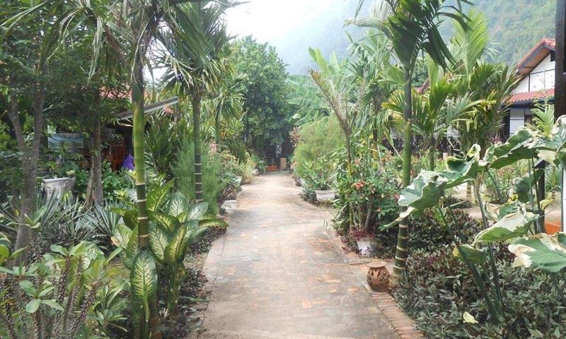 Picture of Phaxang Resort