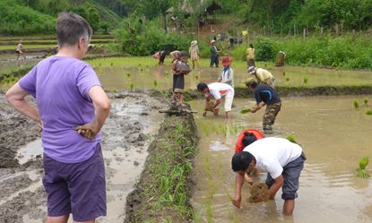 Picture of Muang Sinh - Nam Ha NPA-Ban Sai Leck (Yao Village) / 4-5h treking