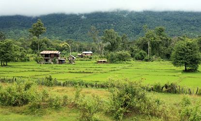 Picture of Pakse - Boloven Plateau/Coffee plantations - Tad Fan waterfall - La Folie Lodge