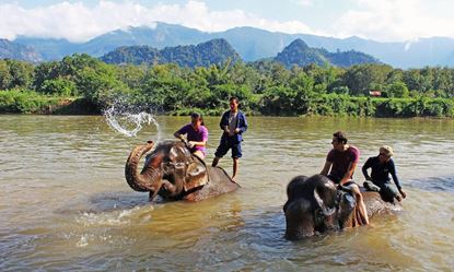 Picture of Pakeng - Mekong Elephant Park - Oudomxay/Muang Xay