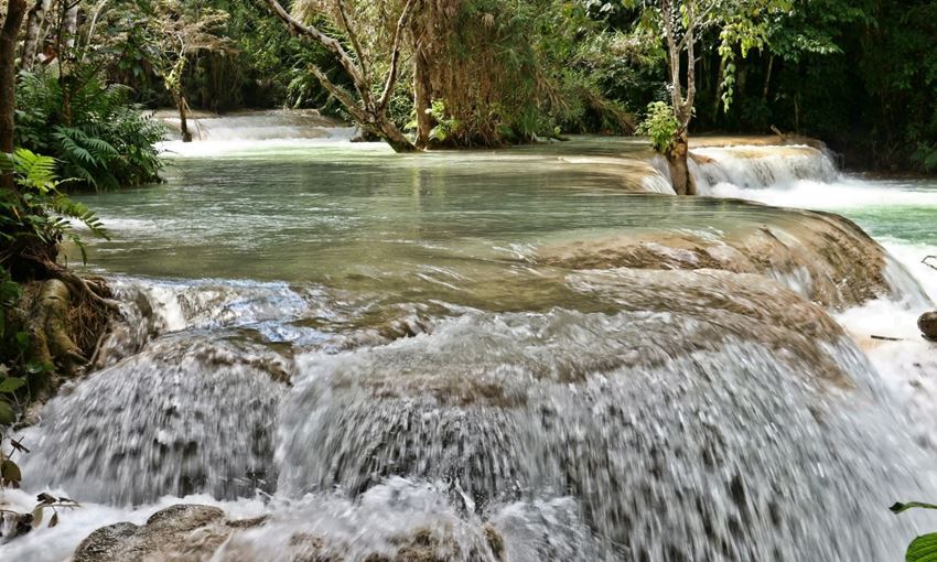 Picture of Explorer Pak Ou caves & Kuang Si Waterfall