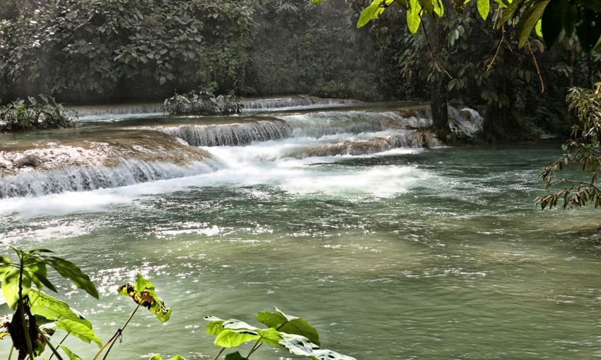 Picture of Explorer Pak Ou caves & Kuang Si Waterfall