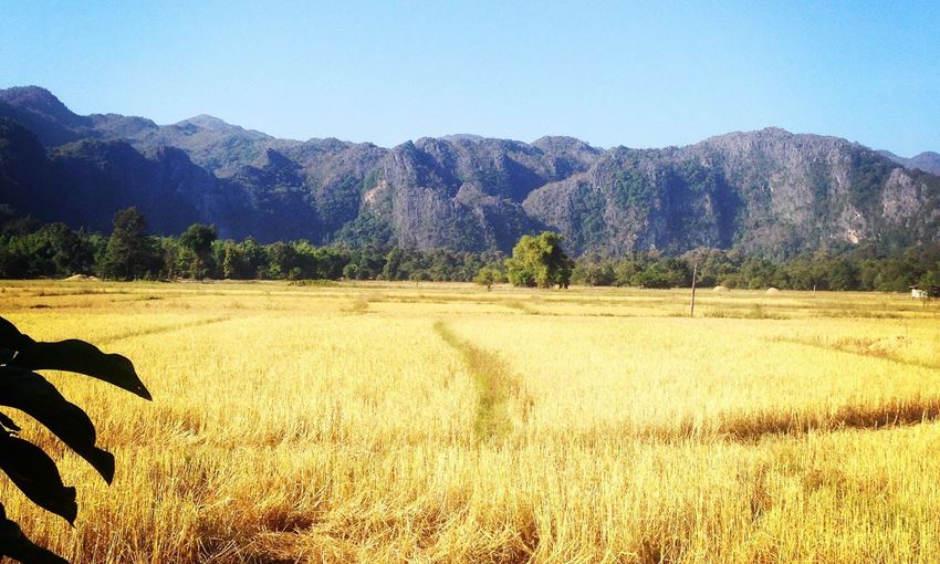 Picture of Rural Life in Laos Tour 11 days