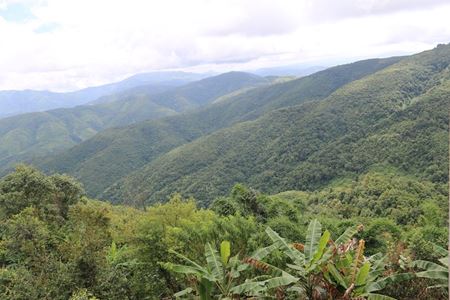 Picture of Amazing Nothern of Laos